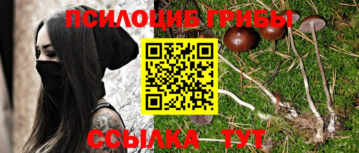 Псилоцибиновые грибы мицелий Выкса